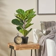 Artificial Potted Fiddle Leaf Fig Tree, 2ft Realistic Ficus Lyrata In ...