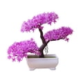 thumbnail image 1 of Artificial Potted Floral Decor, Lifelike Plastic Greenery, 7.5 Inch Small Tabletop Arrangement with Flexible Stems and Weighted Pot, Long-Lasting Decor for Home Shelf Office Desk, 1 of 7