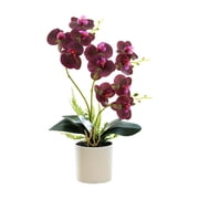 Artificial Potted Phalaenopsis Orchid, Realistic Orchid Bonsai, Faux Phalaenopsis for Living Room Table Decoration