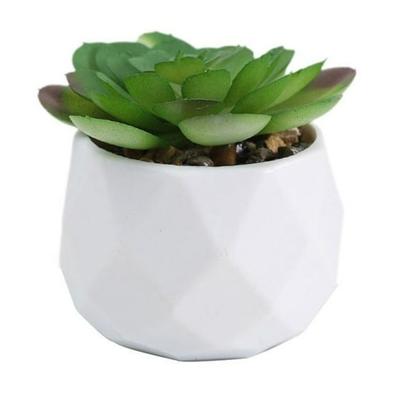 Artificial Potted Plant Succulent With Pot Small Faux Fake Cacti 2024K P3O6