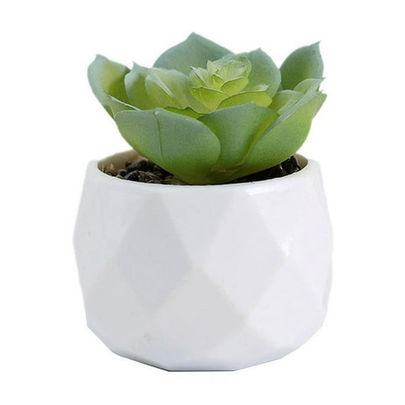 Artificial Potted Plant Succulent With Pot Small Faux Fake Cacti 2024K V7H2