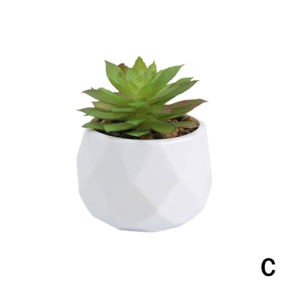 Artificial Potted Plant W/ Pot Small Faux Cacti Fake In/Outdoor X3I8LKJ8