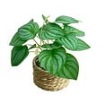 thumbnail image 1 of Artificial Potted Plant,Weather Resistant Fake Plant in Woven Basket Faux Greenery Decor for Home Tabletop Living Room Office Shelf, 1 of 6
