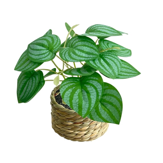 Artificial Potted Plant,Weather Resistant Fake Plant in Woven Basket Faux Greenery Decor for Home Tabletop Living Room Office Shelf