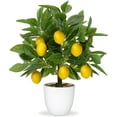Artificial Potted Plants 15.7 inches Fake Lemon Tree with White Pot