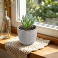 thumbnail image 1 of Artificial Potted Plants, Fake Plastic Plants with White Pots, Small Flower Arrangement for Home Office Table Decor, 1 of 6