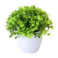 thumbnail image 1 of Artificial Potted - Small Bonsai Tree with Realistic Bamboo Leaves and Grass, Miniature Desktop Decor for Home, Office, and Tabletop Landscape Displays, 1 of 5