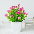 thumbnail image 1 of Artificial Potted Small Greenery,Realistic Mini with Flowers for Indoor Home Decor,Desktop Table Centerpiece for Bathroom,Farmhouse Displays,Mother's Day,Christmas Gifts, 1 of 2
