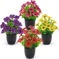 thumbnail image 1 of Artificial Potted Plants Verdsylv 4Pcs Artificial Small Potted Plants - Faux Eucalyptus & Violet in Plastic Pots, Fake Flowers for Home Living Room Table Centerpiece Decor, Faux Eucalyptus Decor, 1 of 8