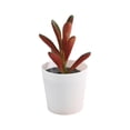 thumbnail image 1 of Artificial Potted Plants with White Plastic Pots for Home and Office Decor, Small Flower Arrangements for Indoor Spaces, 1 of 5