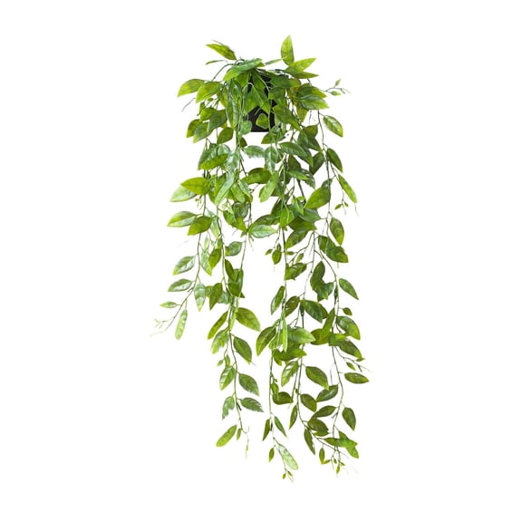 Artificial Potted Vine Bonsai Snow Pea 70x10cm (Vine Bonsai, Snow Pea Plant), Hanging Plants Artificial Decor, Potted Greenery Hanging Plants Indoor for Room Home Shelf Outdoor Decor, by TINGXIN
