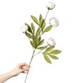 White Ranaculas Roses Artificial Ranunculus Silk Flowers with Flexible Stems for DIY Wedding ...