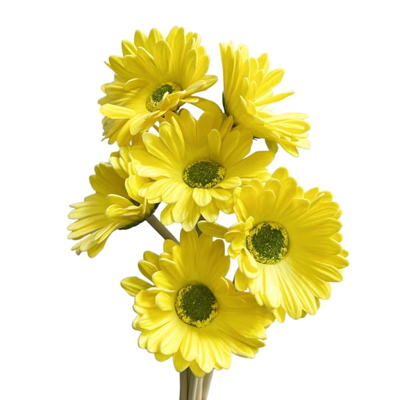 Artificial Real Touch Gerbera Barberton Daisy Stems (Set of 6)
