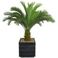 thumbnail image 1 of Artificial Real Touch Indoor Outdoor 54" Tall Cycas Palm Tree And 14" Fiberstone Planter, 1 of 2