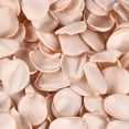 thumbnail image 1 of Artificial Rose Petals Fabric Flower Petals for Romantical Table Centerpieces and Wedding Aisle Decorations 200Pieces, 1 of 9