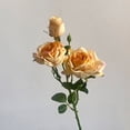 thumbnail image 1 of Artificial Roses – 21.7" Long Stem Garden Roses – Lifelike Faux Silk Flowers for Wedding Bouquets, Home Décor, Centerpieces & Floral Arrangements, 1 of 7