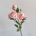 thumbnail image 1 of Artificial Roses – 21.7" Long Stem Garden Roses – Lifelike Faux Silk Flowers for Wedding Bouquets, Home Décor, Centerpieces & Floral Arrangements, 1 of 7