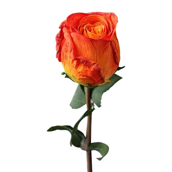 Artificial Roses Real Touch Single Stem Fake Roses Silk Realistic Bouquet Flowers Arrangements Home Office Garden Grave Party Wedding Decoration