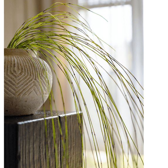 Artificial Rough Horsetail Thin Vine Ikebana