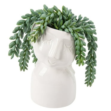 Artificial Scculents in Ceramic Pots Fake Potted Plants Fake Succulents Plants Cute Human Face Plant Pot Home Decor