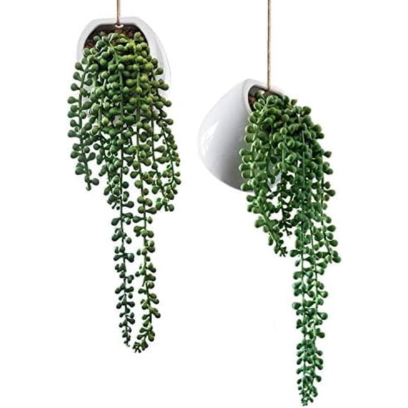 Artificial Senecio Plant, String of Pearls Decorative Ceramic Wall-Hanging Planters, Life-Like Rowleyanus Plants, Set of 2