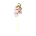 thumbnail image 1 of Artificial Silk Phalaenopsis Flowers Bundles Leaves Artificial Orchid Flowers Stem Plants in White Fake Butterfly Phalaenopsis Flowers for Home Wedding Party Décor, 1 of 7