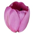 thumbnail image 1 of Artificial Silk Tulip Flower Heads, Faux Tulip Blooms Fake Floral Heads,Realistic Soft Texture Durable Vibrant Heads for Bridal Bouquets Wreath Table Centerpieces Home Wedding DIY Decor,Pink, 1 of 9