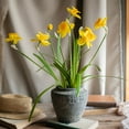 thumbnail image 1 of Artificial Silk Yellow Faux Daffodil Flower Stem 19" Tall, 1 of 7