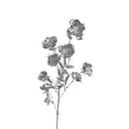 thumbnail image 1 of Artificial Silver Flower Stems Faux Metallic Roses, Bendable Branches For Home Vase Centerpiece, Wedding Party Farmhouse Table Arrangement Decor And Display, 1 of 6