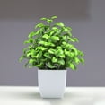 thumbnail image 1 of Artificial Small Potted Plant 1 Pc Greenery for Indoor Tabletop Decor, 1 of 9