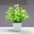 thumbnail image 1 of Artificial Small Potted Plant 1 Pc Greenery for Indoor Tabletop Decor, 1 of 9