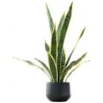 thumbnail image 1 of Artificial Snake Plant 22.5" Faux Agave Fake Sansevieria Artificial Potted Plants for Indoor and Outdoor Home Office Décor, 1 of 5