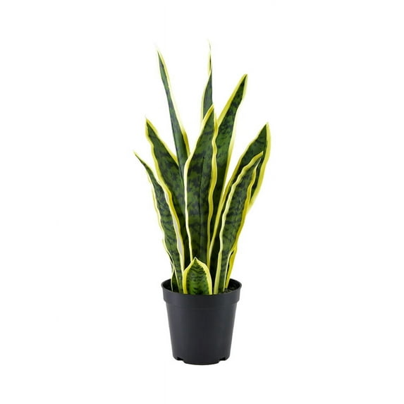 Artificial Snake Plant in Black Pot