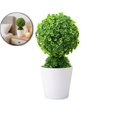 thumbnail image 1 of Artificial Snowball Plant in Pot - 10.2" Realistic Fake Plant in White Pot, No-Maintenance Indoor Decor for Home, Office Desk, Front Porch, 1 of 5
