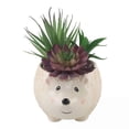 thumbnail image 1 of Artificial Succulent Mix in 6" Large Brown Hedgehog Ceramic Planter, 1 of 2