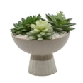 thumbnail image 1 of Artificial Succulent Mix in Two Tone Gray/Beige Ceramic Bowl Planter, 1 of 2