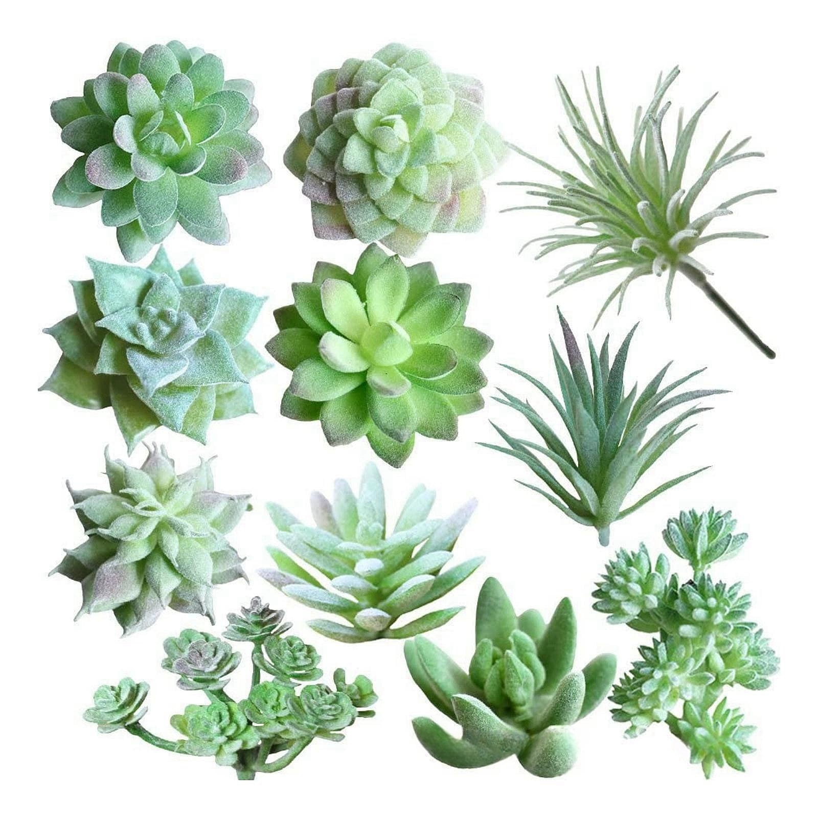 Fake Plants Set Of 5 Realistic Artificial Succulent Plants In Cement-Look  Pots - Faux Succulents For Desk, Shelf & Home Office Decor (4 Small + 1  Large Potted Plant)