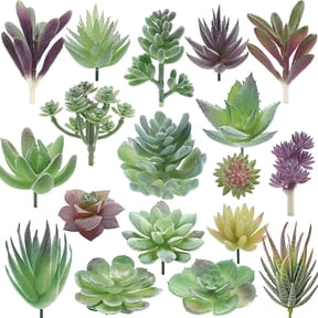 Artificial Succulent Plants - 18 Pack - Premium Fake Plants - Double Flocked Succulents - Realistic Textured Cactus - Face Succulent Plants - Mini Faux Succulents - Face Plant Decor