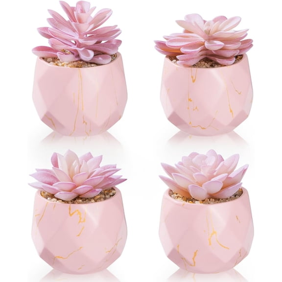 Artificial Succulent Plants in 2 Pink Ceramic Pots, Cute Fake Plants for Vanity Decor,Office, Desk, Bathroom, Kitchen,Bedroom, Shelves Decor for Women,Girls Gift
