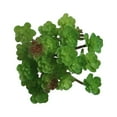 thumbnail image 1 of Artificial Succulent Plants - Faux Succulents Unpotted Fake Succulent Plants, Premium Crafting DIY Floral Decor for Home Garden Office Party, 1 of 8