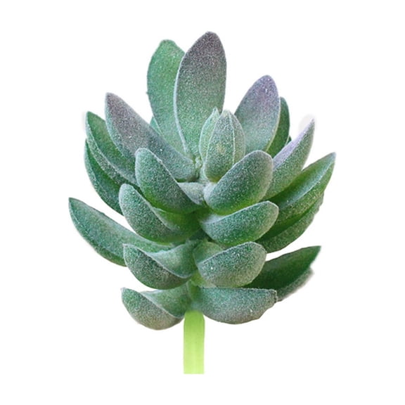 Artificial Succulent Plants, Green Succulent Assortment, Flocked Succulents Cactus Aloe for DIY Home Decor, Unpotted Indoor Wall Garden Wedding Centerpiece Birthday Decor