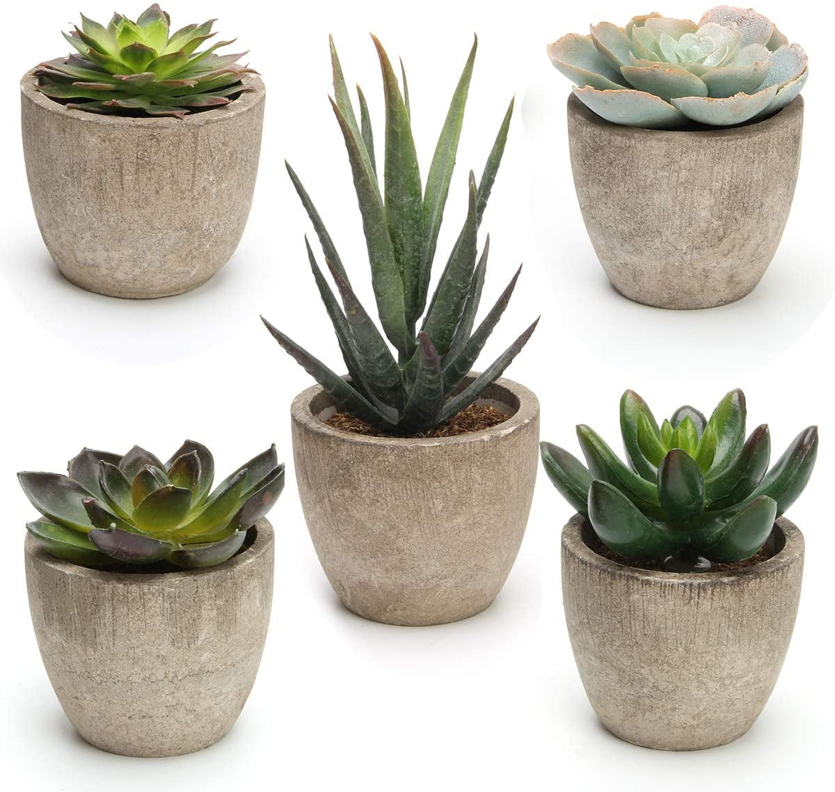 Artificial Succulent Plants Potted, Assorted Decorative Faux Succulent Potted Fake Cactus Cacti Plants with Pots, Set of 5
