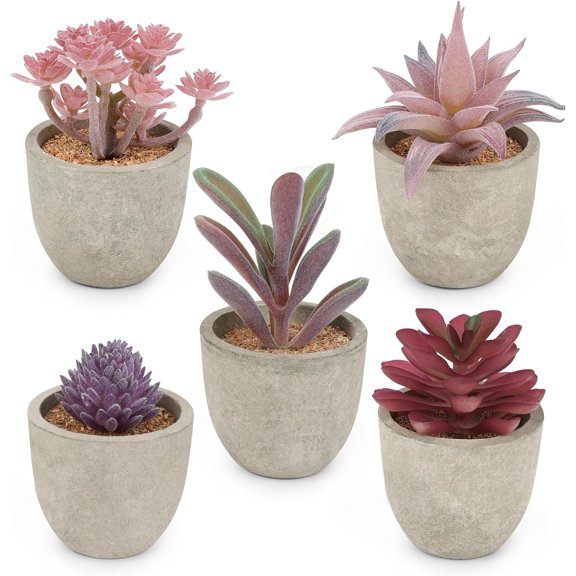 Artificial Succulent  Potted,  Decorative Faux Succulent Potted  Cactus Cacti  with Pots, Set of 5 ()