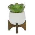 thumbnail image 1 of Artificial Succulent in 4.5" Matte White Ceramic Planter on Wood Stand, 1 of 2