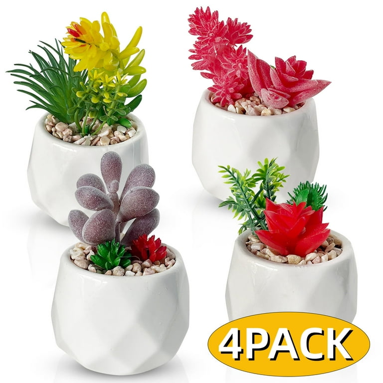 Mini Plastic Succulent Artificial Plant Fake Flower Container Garden Home Decor Mini Plastic Succulent Artificial Plant Fake Flower Container Garden Home Decor