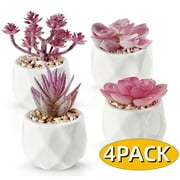 Artificial Succulents Fake Plant in Pots Mini floral Décor Artificial Greenery Realistic Faux Succulents for Home Office Window Sill Bathroom Bedroom 4 Pcs Purple