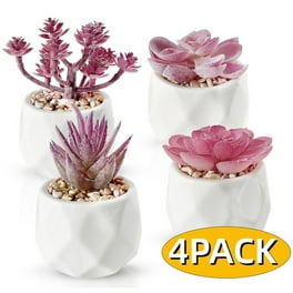 Fake Mini Succulent Plant Artificial Plastic Flower Container Garden Home Decor Fake Mini Succulent Plant Artificial Plastic Flower Container Garden Home Decor