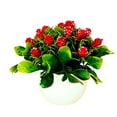 thumbnail image 1 of Artificial Succulents Mini Realistic Fake Plants with Plastic Pots for Home and Office Decoration 1 Set Artificial Bonsai Non-fading Practical Plastic Simulation Pine Cone Plants, 1 of 8