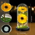 thumbnail image 1 of Artificial Sunflower in Glass Dome,Enchanted Flower Gifts with LED Light for Women,Eternal Sunflower Gift for Her on Mother's Day Anniversary Birthday Valentine Day, 1 of 5