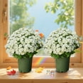 thumbnail image 1 of Artificial Sunset Mums,Lifelike Flowers For Decoration,10 Bundles Artificial Sunset Chrysanthemum Flowers For Outdoor Decoration – Fade Proof Realistic Flowers For Garden Patio And Porch(White), 1 of 8